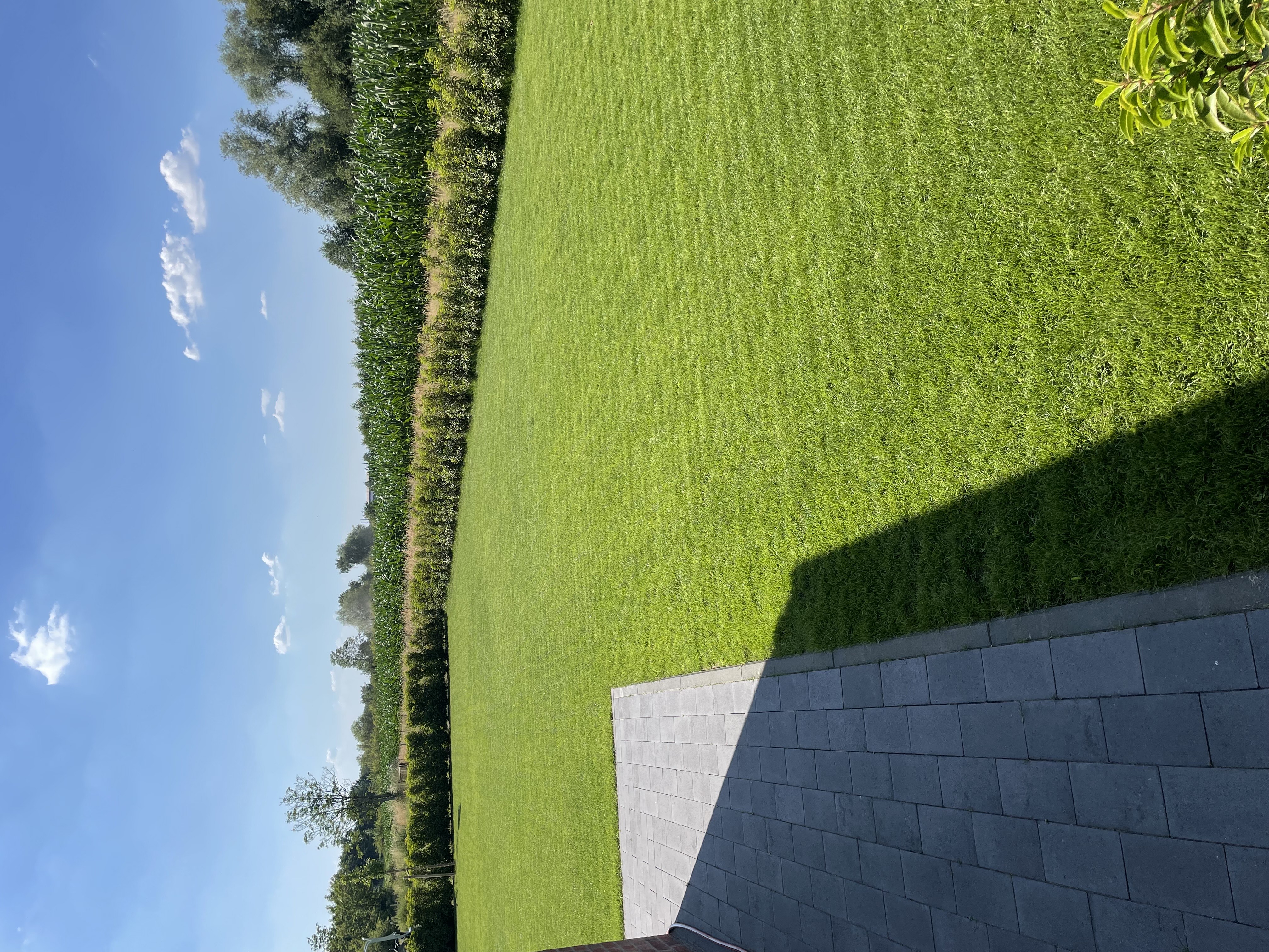 Rasenbau und Pflege, Garten- und Landschaftsbau Leistung