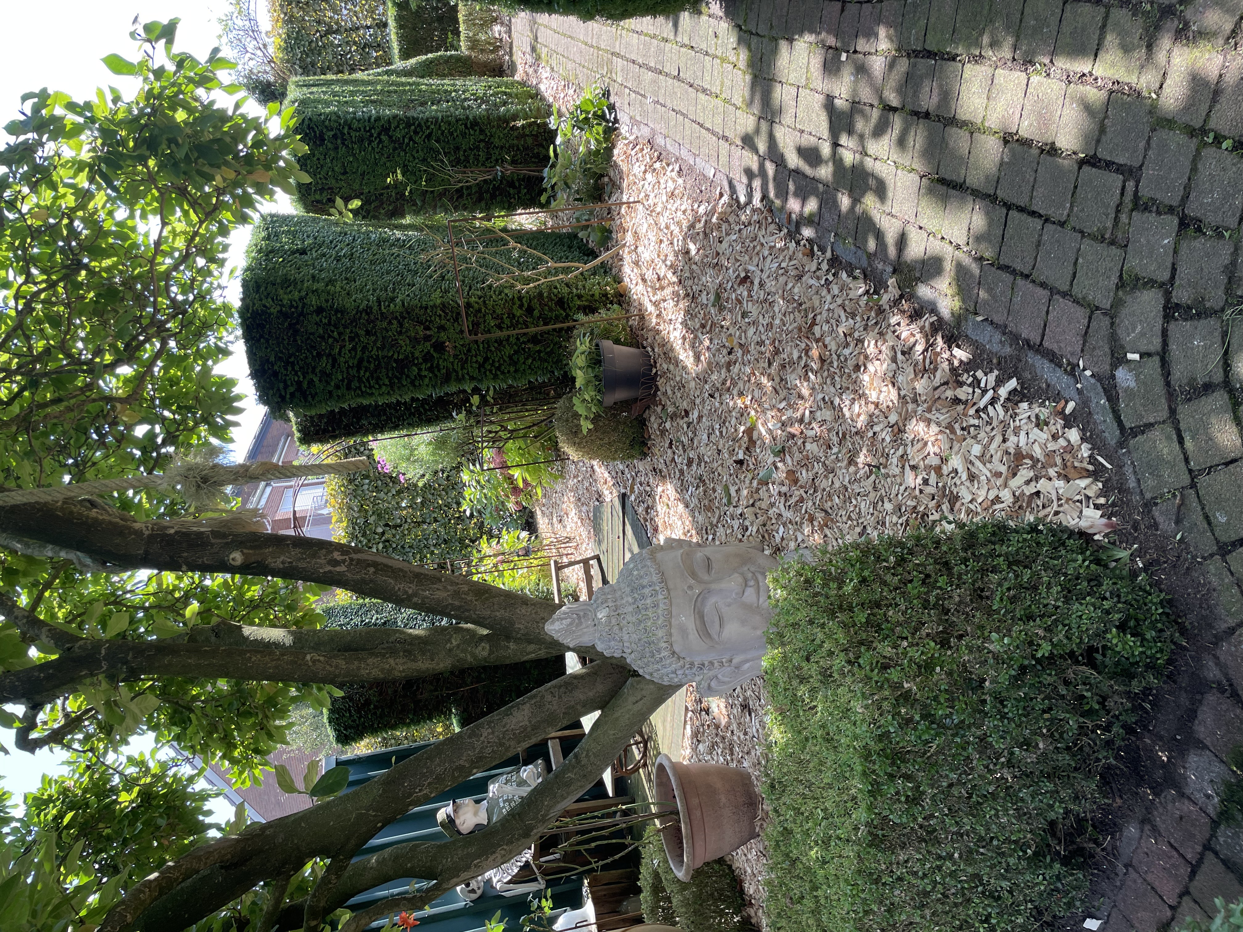 Pflegearbeiten, Garten- und Landschaftsbau Leistung